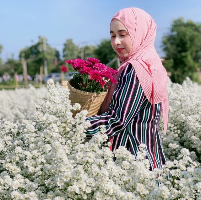 🌺 "ฮิมปิง ฟลาวเวอร์" แม่ริม เชียงใหม่🌺