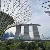 OCBC skyway