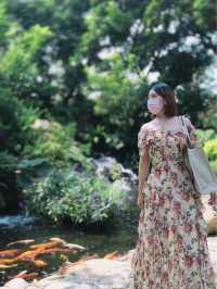 卓蘭山林間的花卉園區 花露農場 Flower Home