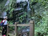 雲林秘境-嘉南雲峰南登山口步道