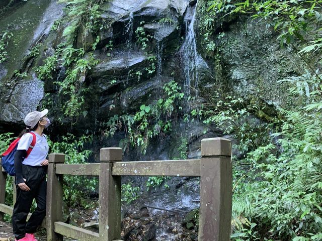 雲林秘境-嘉南雲峰南登山口步道