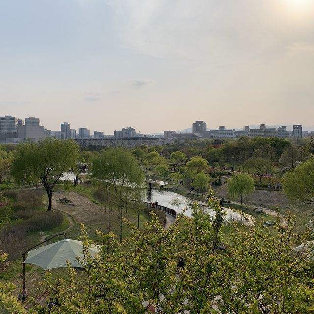 대전오면 한밭수목원🌲🍃