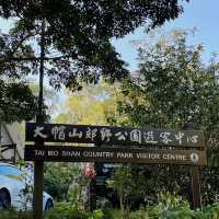 登上去全香港最高的山峰⛰️大帽山之旅