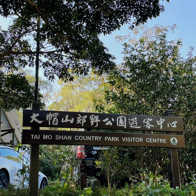 登上去全香港最高的山峰⛰️大帽山之旅