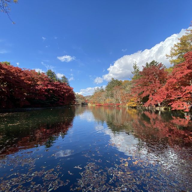 軽井沢『雲場池』