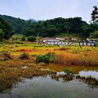 連島沙洲 －水浸咀排； 通天洞－芝麻籠