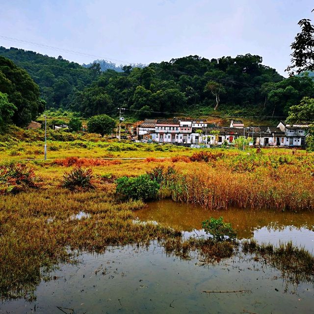 連島沙洲 －水浸咀排； 通天洞－芝麻籠