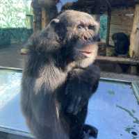 ふれあい動物園『伊豆シャボテン動物公園』