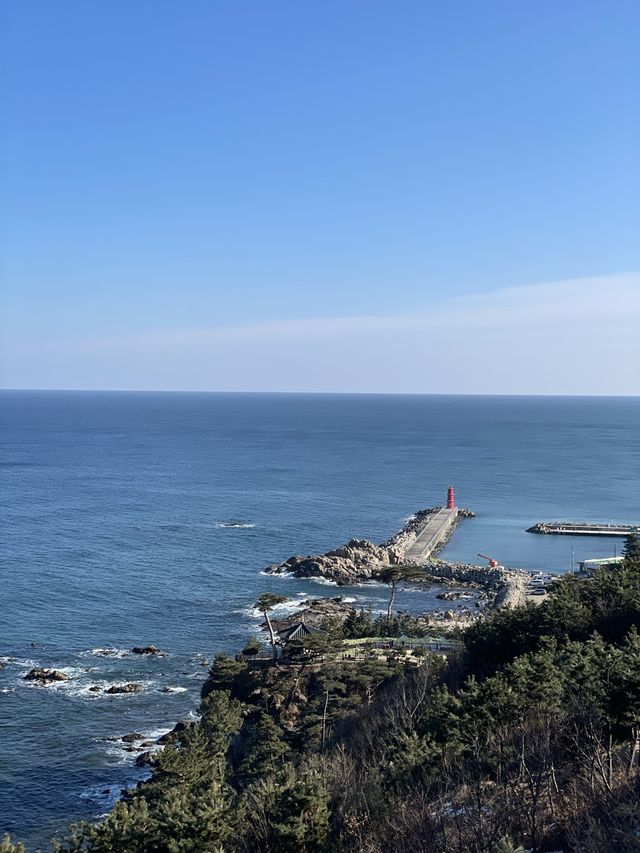 [낙산사] 소원을 말해봐🐈