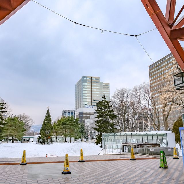 さっぽろテレビ塔前のツリー さっぽろテレビ塔前のツリー