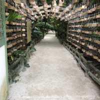 【青島神社②】鬼の洗濯岩