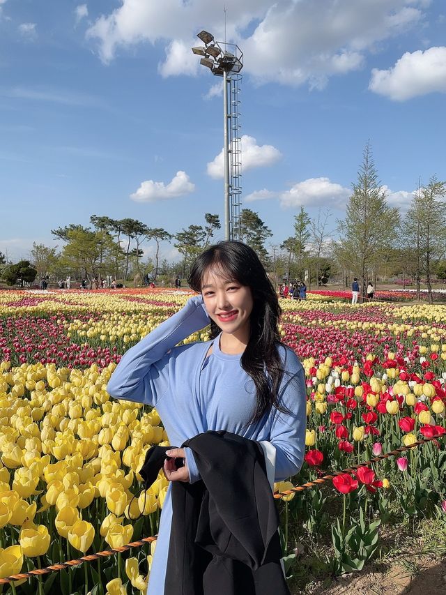 튤립이 정말 예쁜 청주 문암생태공원🌷