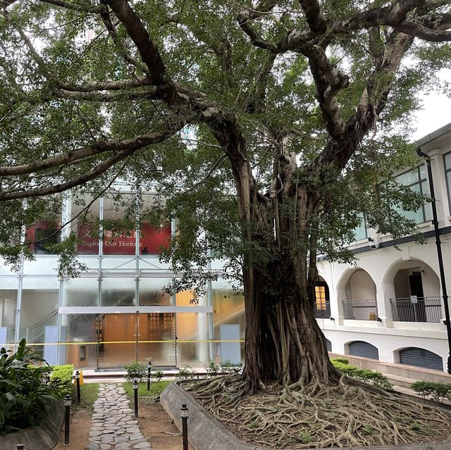 香港文物探知館打卡位😍