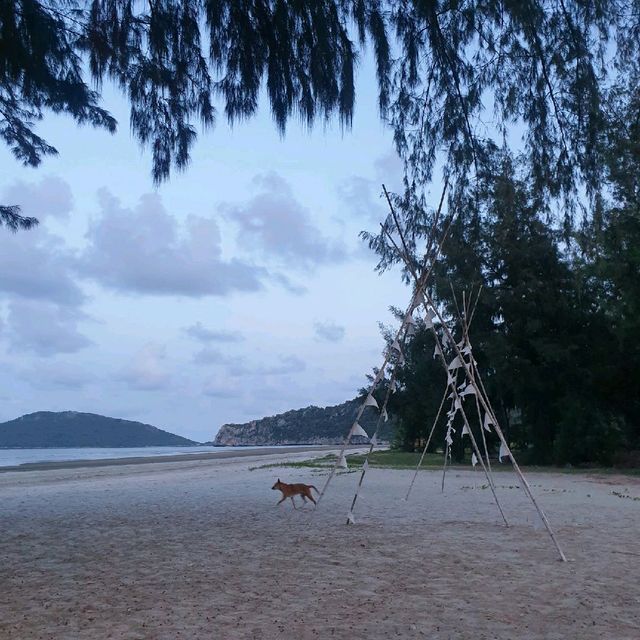 laisla pranburi beach resort 🌴