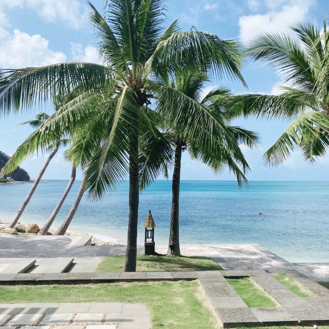 珊瑚灣🏝
