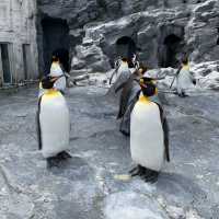 【北海道】間近で見学できる大迫力な動物園