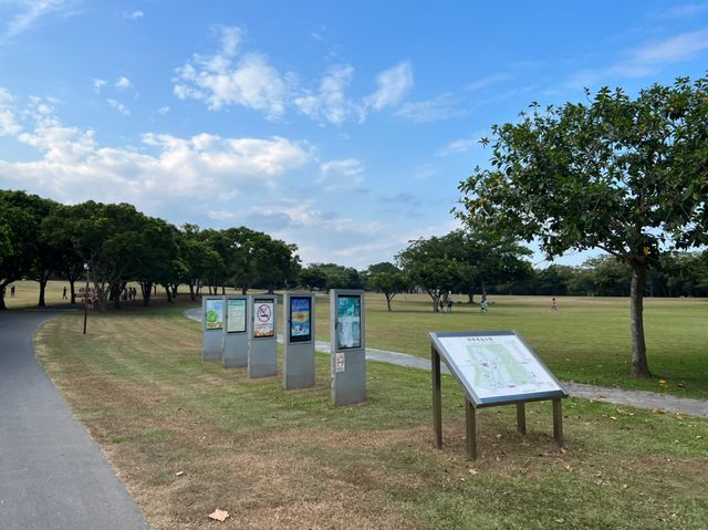 卑南文化公園 超大的十石板棺墓葬群遺址 