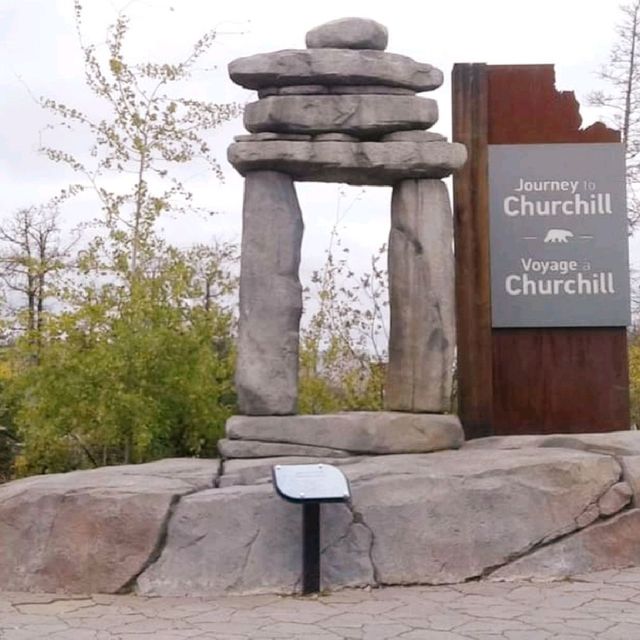 Journey to Churchill 🐻‍❄️🐨 🇨🇦