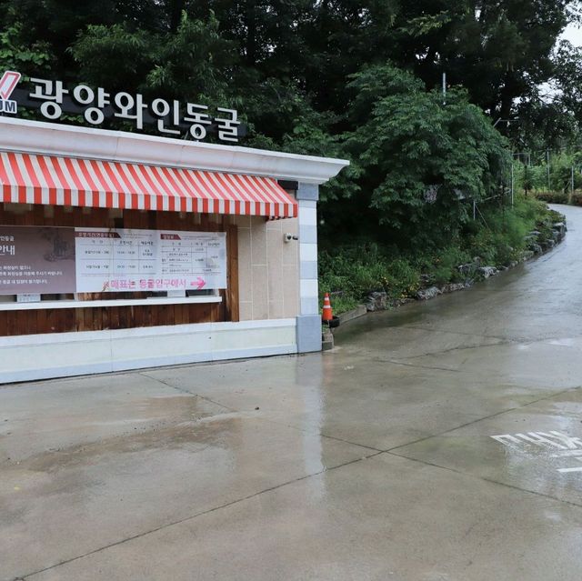 광양 여행 가볼만한곳 * 와인동굴