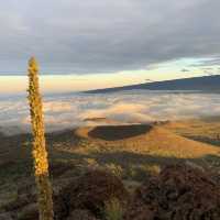 Breathtaking Big Island Hawai’i 