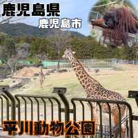 平川動物公園【鹿児島県/鹿児島市】