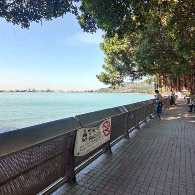 日出瀟灑🌅黃昏浪漫💐