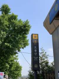 피크닉도 단풍구경도 가능한 ⛰️ 도봉산 