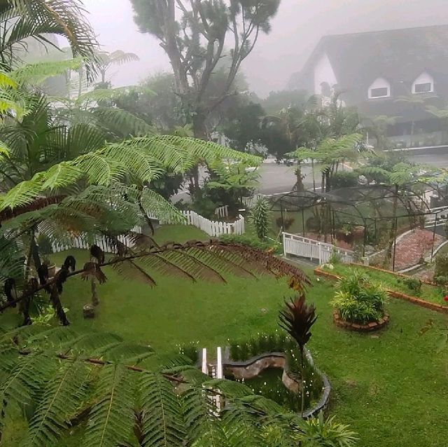 Tenang,  Damai,  Sejuk