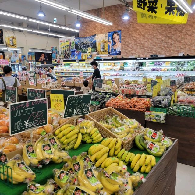【奄美大島】ビックⅡ