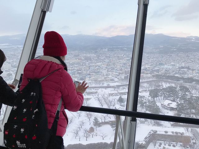 มาชิลชมวิวสวนมุมสูงจาก Goryokaku Tower