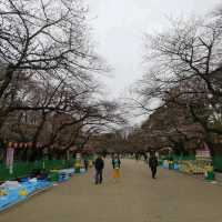 เดินเล่นชิลๆที่สวนอุเอโนะ (Ueno Park) 