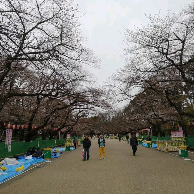 เดินเล่นชิลๆที่สวนอุเอโนะ (Ueno Park) 