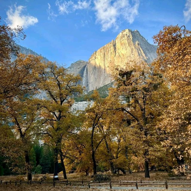 View From Yosemite Valley Floor