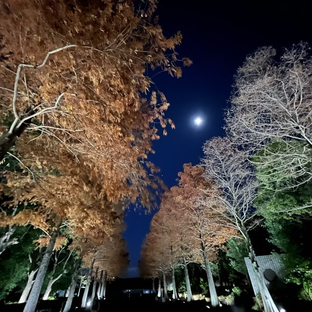 大阪長居植物園 Osaka Botanical Garden Teamlab 