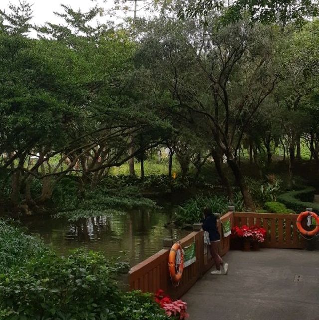 沙田中央公園