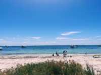 Rottnest Island!😎 Beachin’ The Beach!🤪