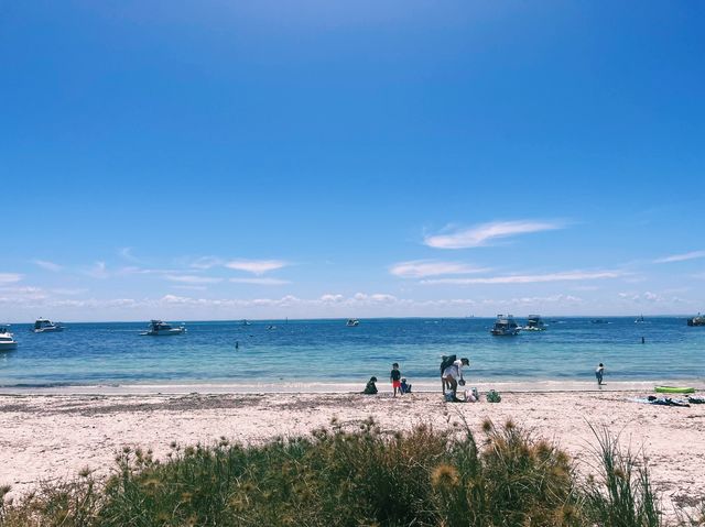 Rottnest Island!😎 Beachin’ The Beach!🤪