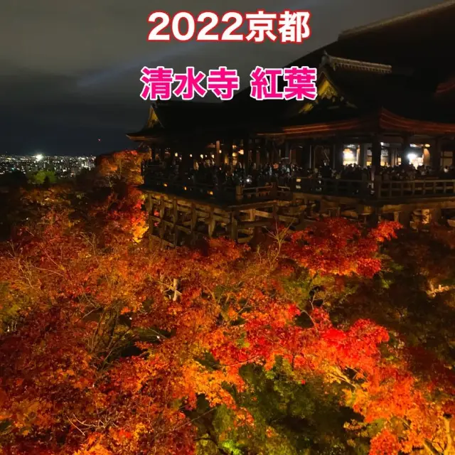 京都紅葉2022  清水寺のライトアップに圧倒される！