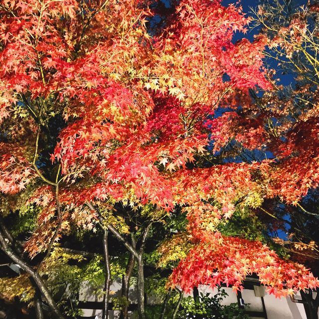 【京都】特別拝観の見応えはさすが