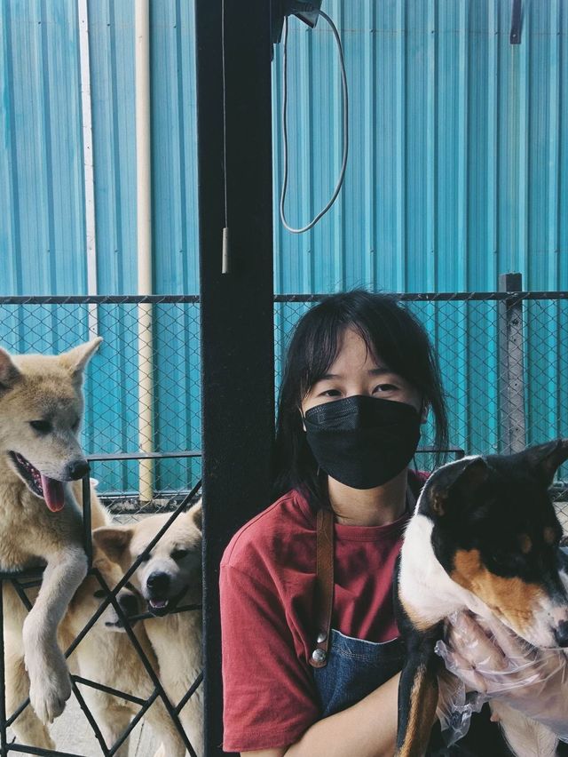 Dog Country Cafe สนุก ไม่จำกัดเวลา