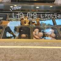 해운대 디저트는 여기 호랑이 젤라떡