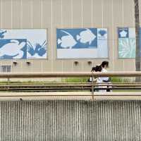 新江ノ島水族館の壁画アート