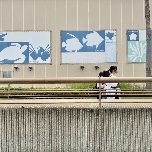 新江ノ島水族館の壁画アート