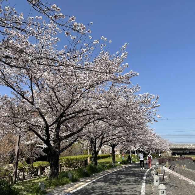 愛知県　清洲城