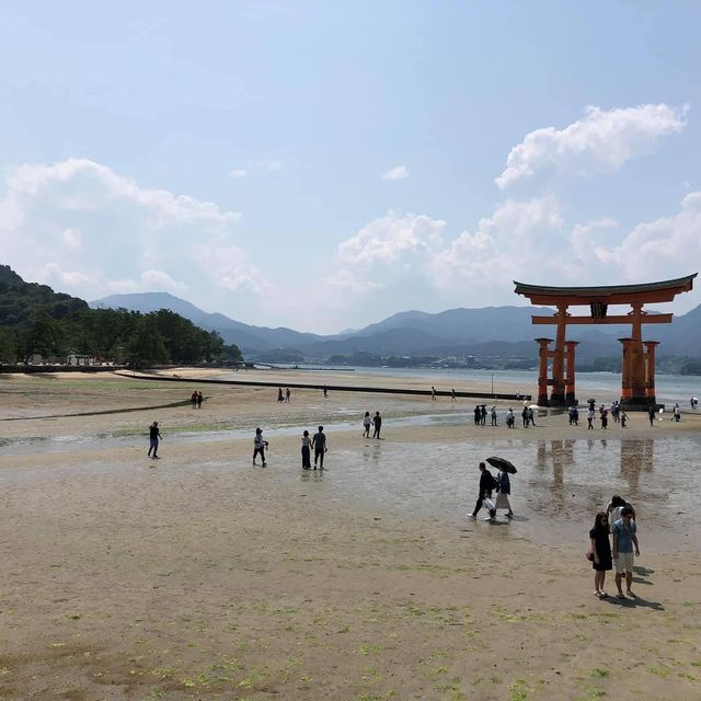 宮島必到全日本🇯🇵唯一海上鳥居⛩️