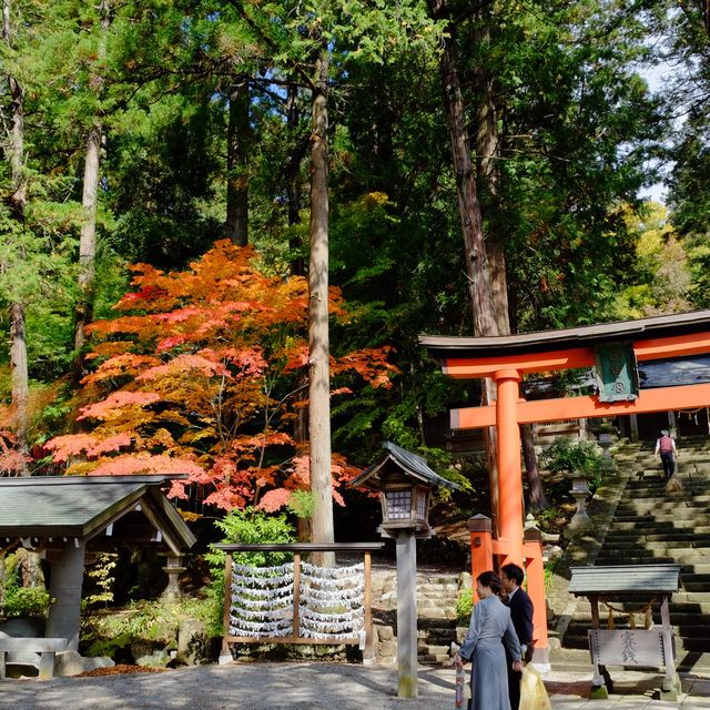 紅葉の飛騨高山の日枝神社
