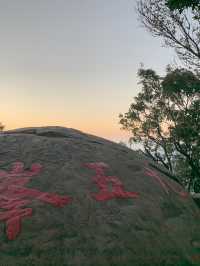 台北登山景點九五峰｜一覽台北盆地絕美遼闊景色