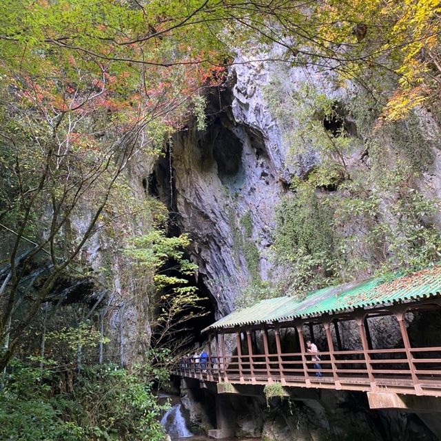 山口県🍁特別天然記念物！日本屈指の大鍾乳洞【秋吉洞】
