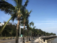 單車遊珠海情侶路