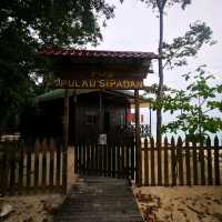 Dive in Sipadan island, Semporna, Sabah 